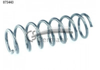 Coil Spring