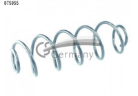 Coil Spring