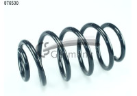 Coil Spring