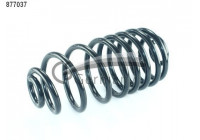 Coil Spring