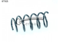 Coil Spring