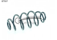 Coil Spring