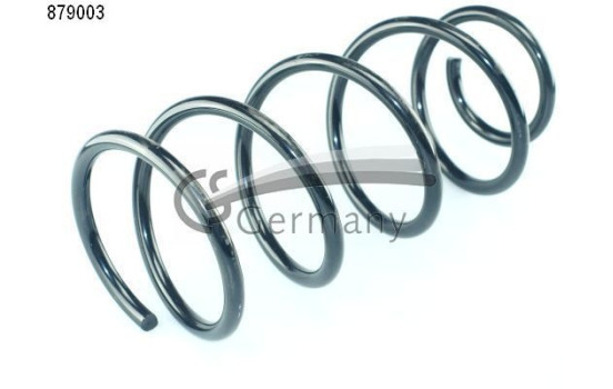 Coil Spring, Image 2