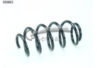Coil Spring