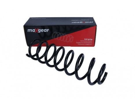 Coil Spring, Image 2