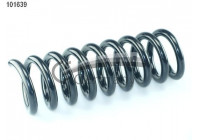 Coil Spring