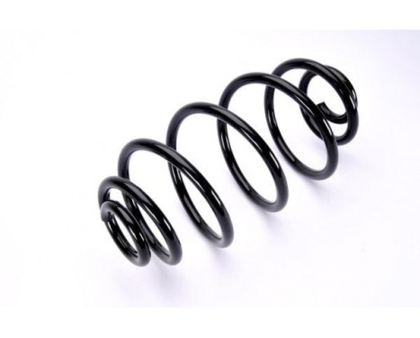 Coil Spring, Image 2