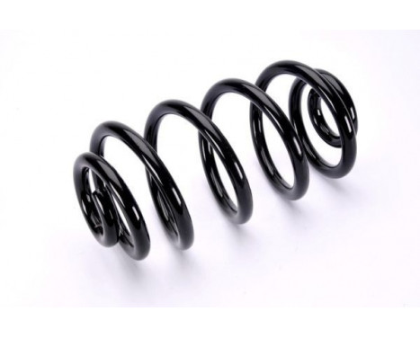 Coil Spring, Image 2