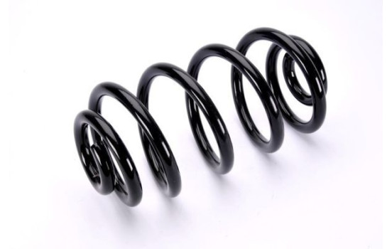 Coil Spring, Image 2