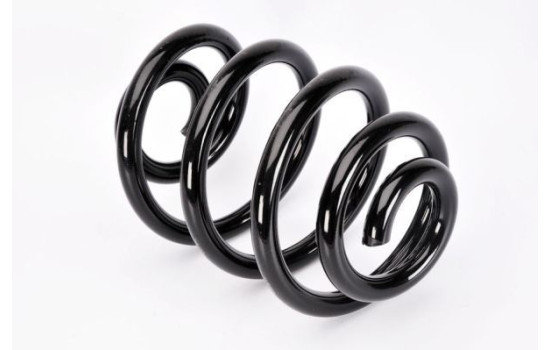 Coil Spring, Image 2