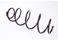 Coil Spring