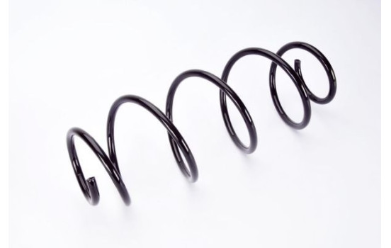 Coil Spring, Image 2