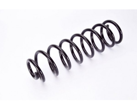 Coil Spring, Image 2