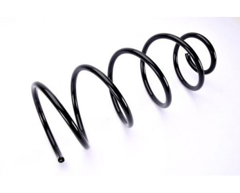 Coil Spring, Image 2