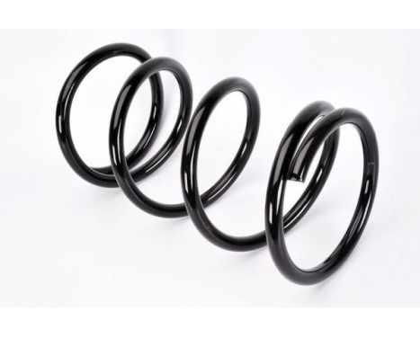 Coil Spring, Image 2