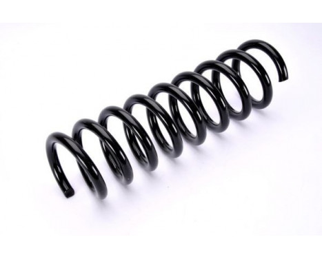 Coil Spring, Image 2