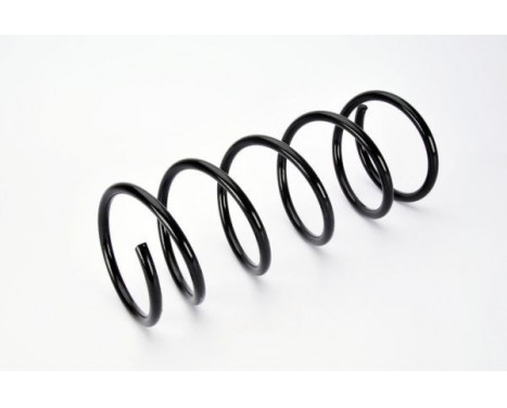 Coil Spring, Image 2