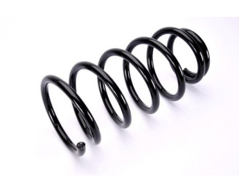 Coil Spring, Image 2