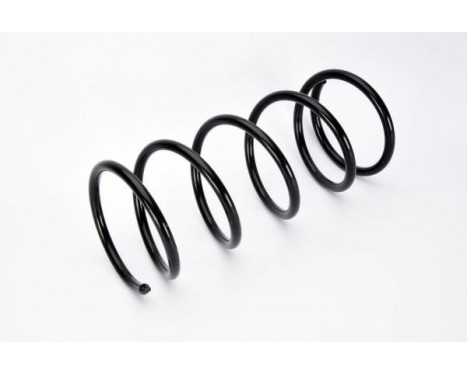 Coil Spring, Image 2
