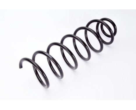 Coil Spring, Image 2