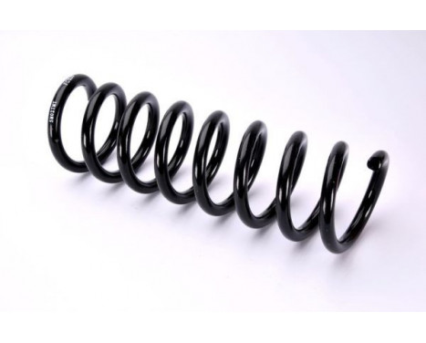 Coil Spring