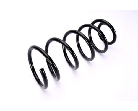 Coil Spring, Image 2