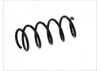 Coil Spring