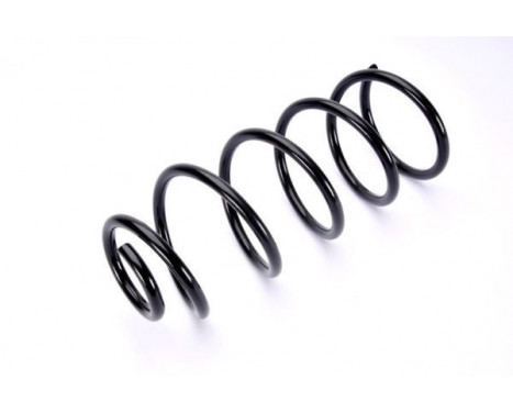 Coil Spring, Image 2
