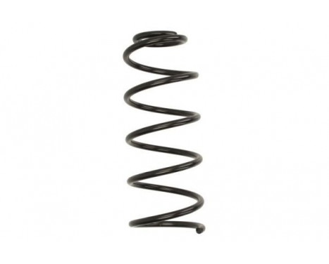 Coil Spring, Image 2