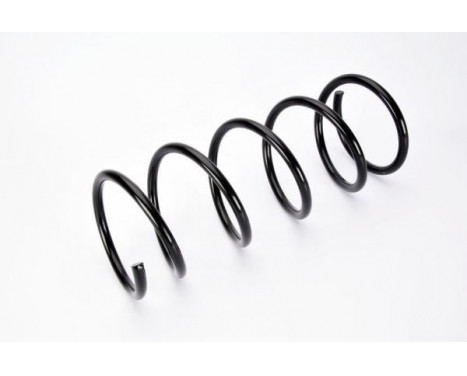 Coil Spring, Image 2