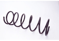 Coil Spring
