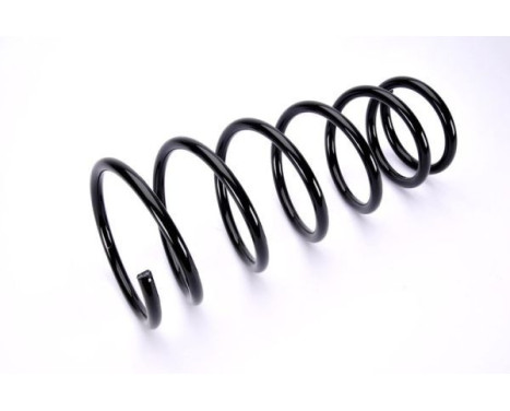 Coil Spring, Image 2