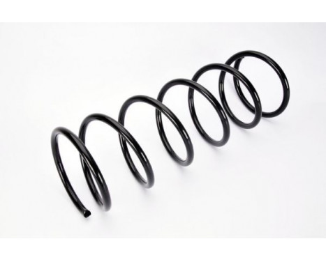 Coil Spring, Image 2