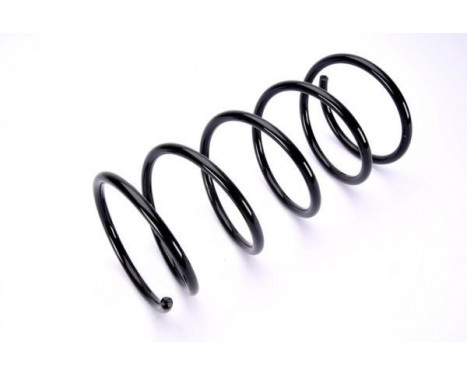 Coil Spring, Image 2