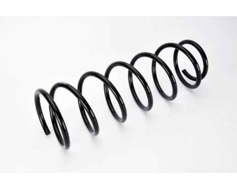 Coil Spring, Image 2