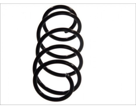 Coil Spring, Image 2