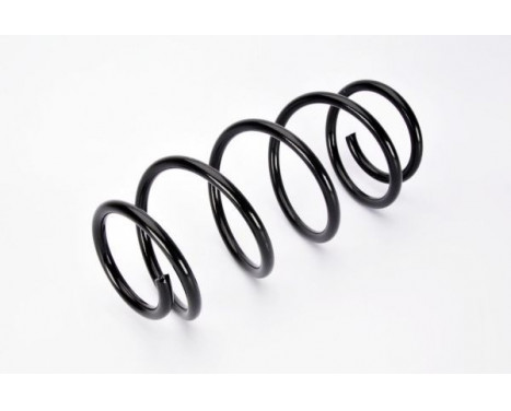 Coil Spring, Image 2