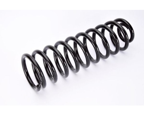 Coil Spring, Image 2