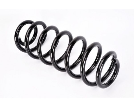 Coil Spring, Image 2