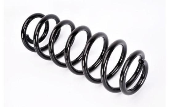 Coil Spring, Image 2