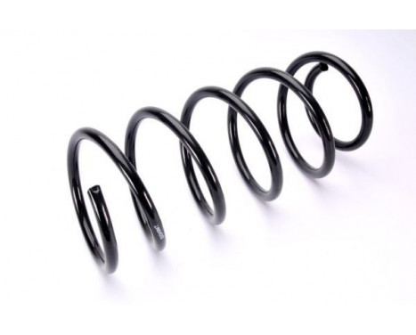 Coil Spring, Image 2