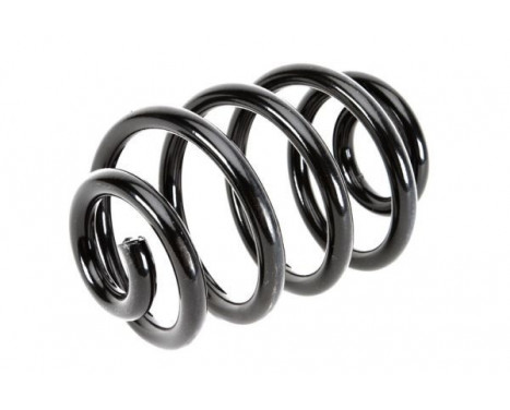 Coil Spring, Image 2