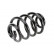 Coil Spring, Thumbnail 2