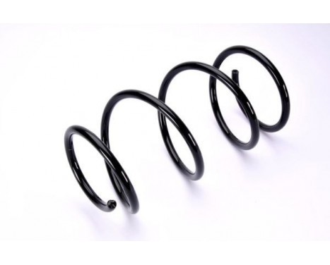 Coil Spring, Image 2