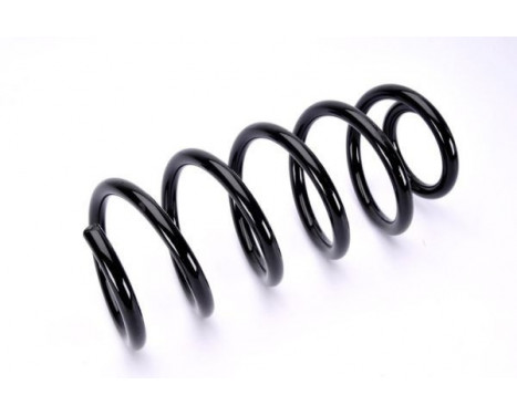 Coil Spring, Image 2