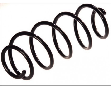Coil Spring, Image 3