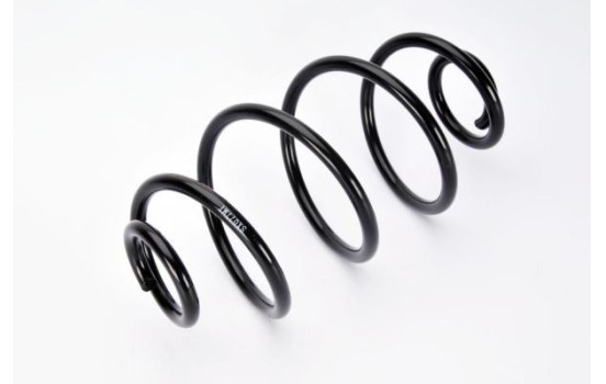 Coil Spring, Image 2