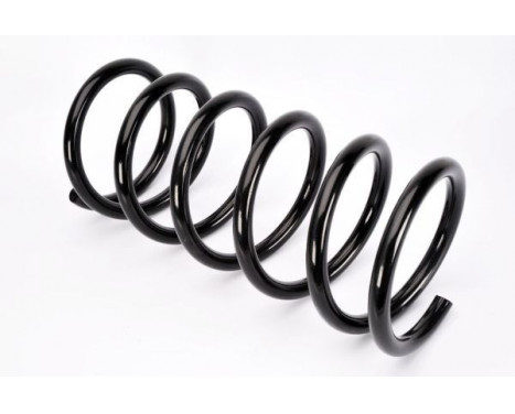 Coil Spring, Image 2