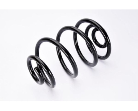 Coil Spring, Image 2