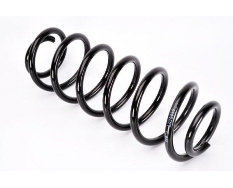 Coil Spring, Image 2